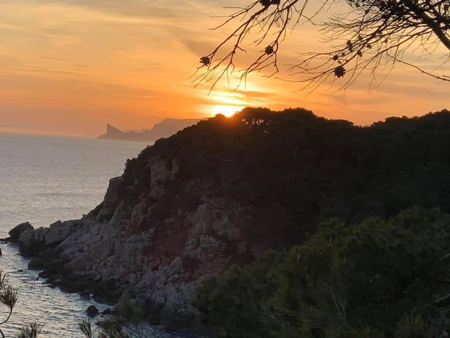 Athena Ohana, Les Pieds Dans L'Eau Bandol Εξωτερικό φωτογραφία